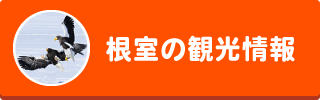 根室の観光情報